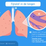 scapeler-infogfx-fijnstofinlongen-NL