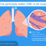 scapeler-infogfx-fineparticulatematter-ENG